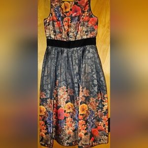 Adrianna Papell dress size 6